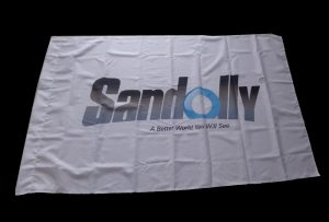 Bandiera Flag in tessuto stampata con stampante eco solvente da 1,6 m (5 piedi) WER-ES160